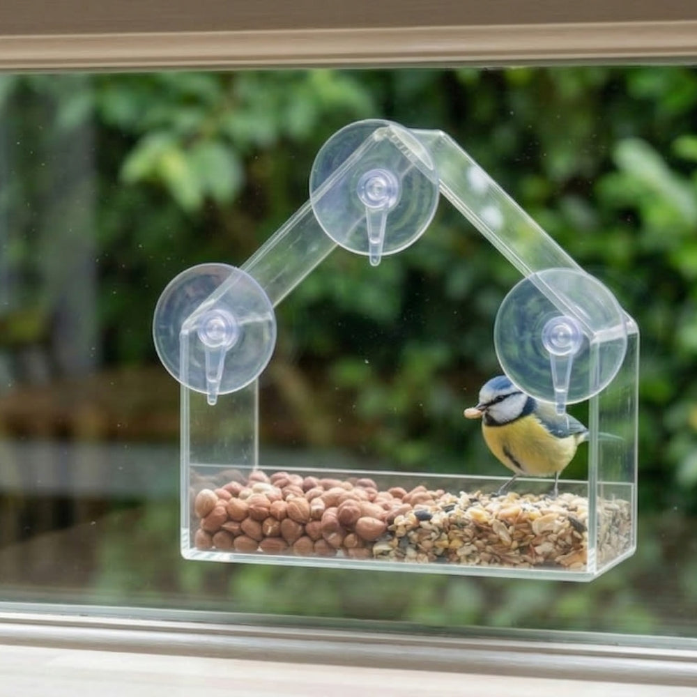 Transparente Futterstation für Vögel