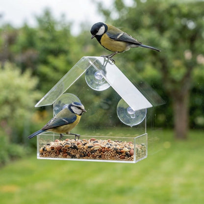 Transparente Futterstation für Vögel