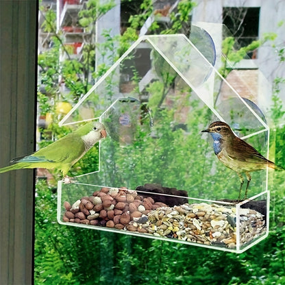 Transparente Futterstation für Vögel