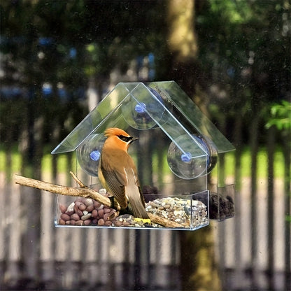 Transparente Futterstation für Vögel