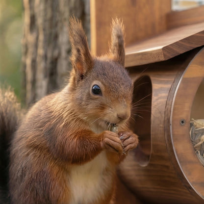 Heinrichs Natural Wood Squirrel Feeder House