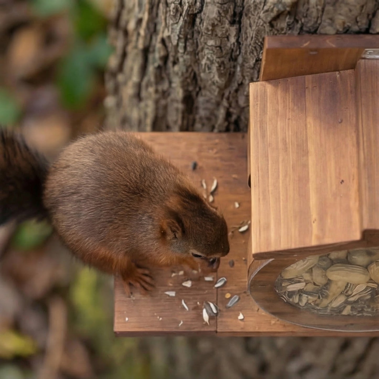 Heinrichs Natural Wood Squirrel Feeder House