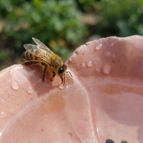 Margrets Handgetöpferte Bienen-Blüten