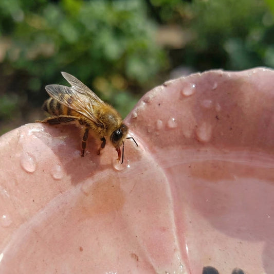 Margrets Handgetöpferte Bienen-Blüten