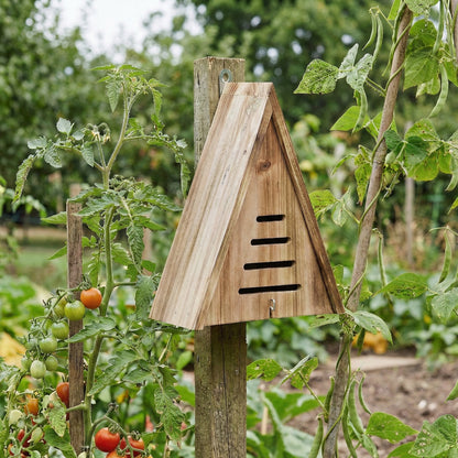 Brigittes Handgebautes Marienkäferhaus