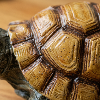 Handgetöpferter Schildkröten Blumentopf